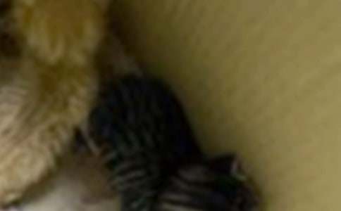 �^��С؈��ӛ