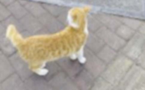 �^��С؈������