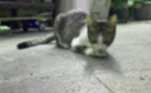 �^�����С؈����