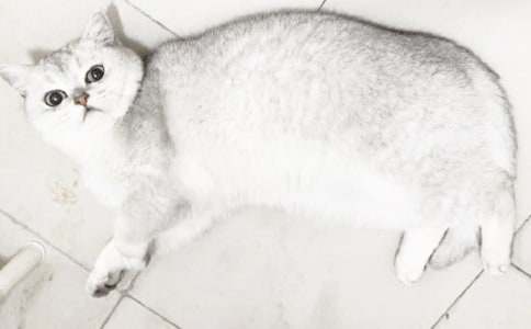 �^��С؈����ӛ�R��5ƪ