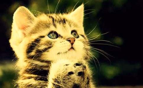 ��Ϳ��С؈���ģ����x10ƪ��