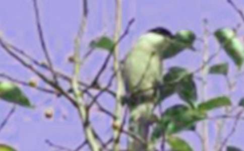 ���Ĵ���С�B