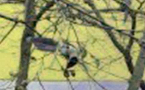 �����]��С�B�������ĺϼ�10ƪ