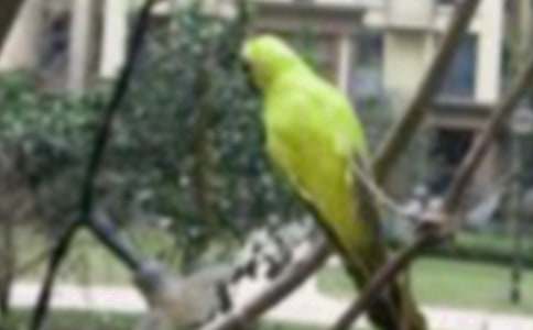 ���С�B���ķ���