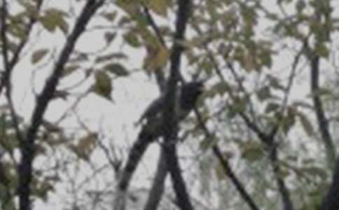 С�BͯԒ����