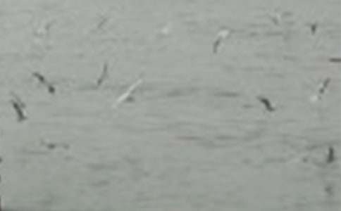 ���С�B��С�W����