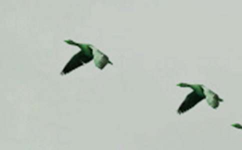 ������С�B������