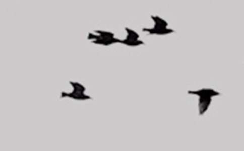 С�B�ж���������