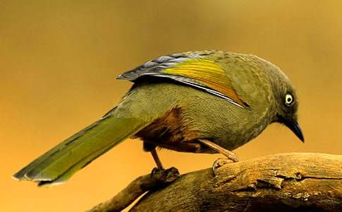 ����cС�B�Č�Ԓ���ģ����x22ƪ��