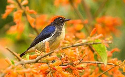 ����С�B-ͯԒ