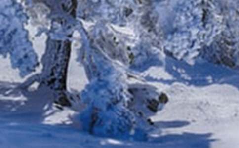 Сѩ��С����������