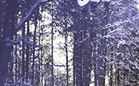 Сѩ�簲�����Z220��