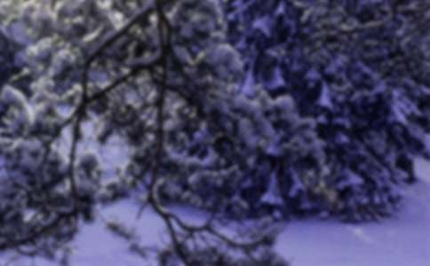 Сѩ400��_���꼉����_С�W����