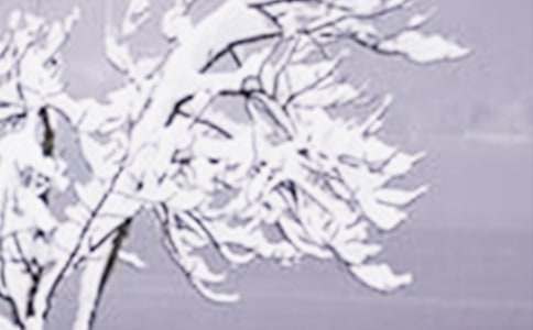 Сѩ������400��