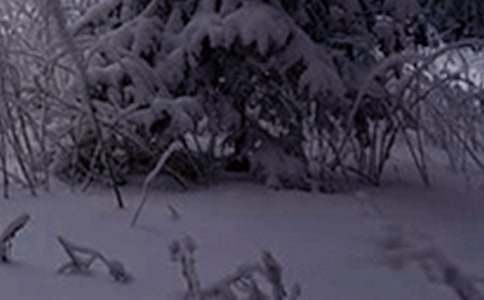 Сѩ�ˈ�����