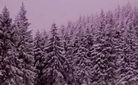 Сѩ������(���\15ƪ)