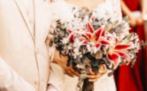 �»���Tʮһ���M��