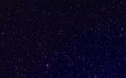 仰望星空,拾起信心作文