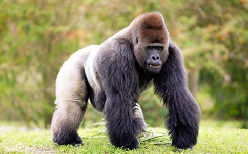 �������·���Ԣ�Թ���