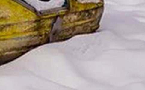 ѩ�������ز�