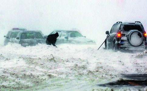 ѩ�ĺ�־Ը����800�֔�����