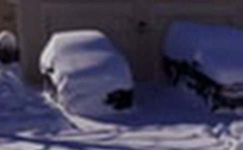 ��ѩ�ĺ������ݾ��������ģ�ͨ��11ƪ��