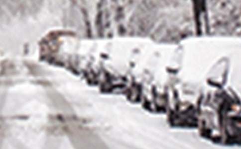 �y����ѩ������