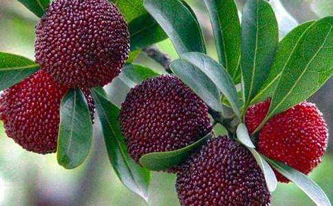 ��÷����400��9ƪ