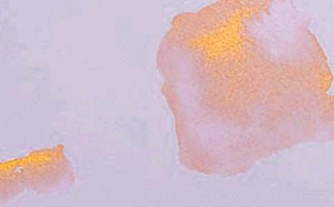 �P�ڌW��ˇ�g������800�֣����x18ƪ��