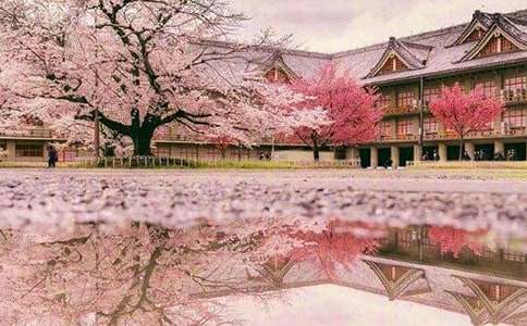 �ѻ��\�Z����������