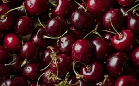 �Ґ۹��l�ę������ģ�ͨ��27ƪ��