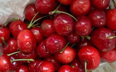 櫻桃樹小學作文400字