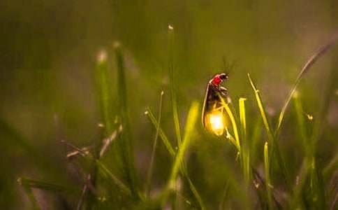 ӛ���е�Ξ���x��������