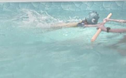 �ҌW������Ӿ����750�֣�ͨ��50ƪ��