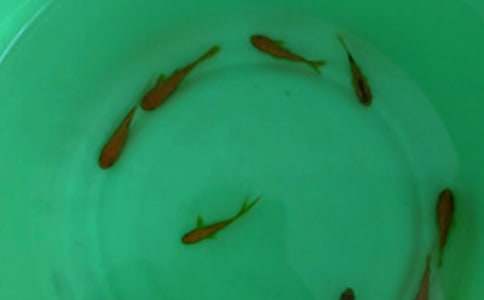 ���~���I�u��ͬ��