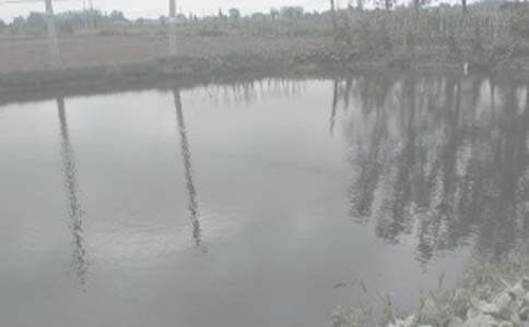 �~�����U��ͬ���R��15ƪ��