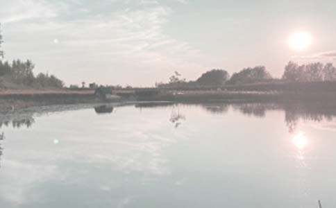 個人承包魚塘合同(通用8篇)