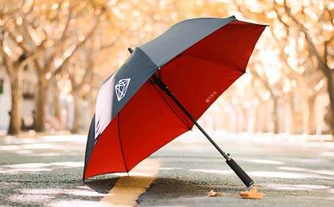 �������o���������������