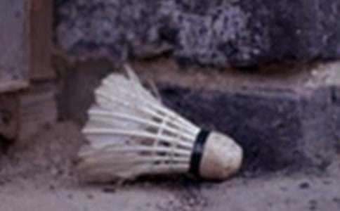 �Ͱְִ���ë�������