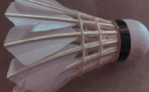 �����T����ͥ��ë��������2ƪ