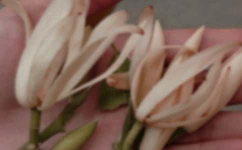 ���������m������(���x15ƪ)