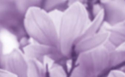 ���P���m��200�ֵ�����