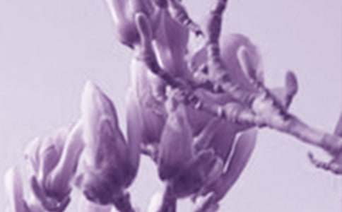 �����m��������200��