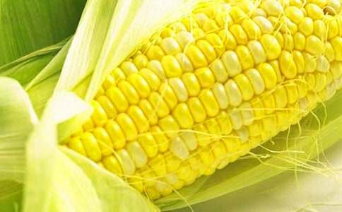 ����ܛ�ǵ�����600��