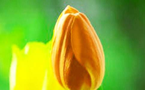 �P���茑������ĺþ䣨ͨ��140�䣩