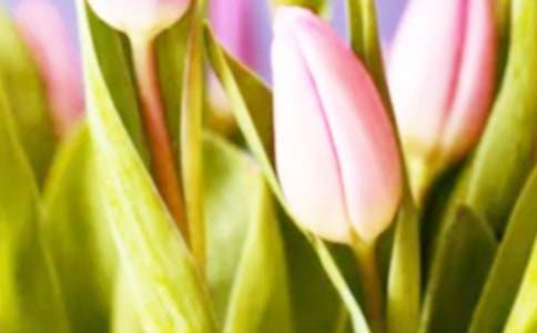 ���������������ģ�ͨ��27ƪ��