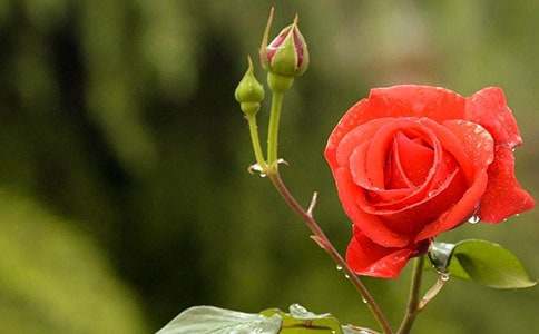 �����е��¼�����������