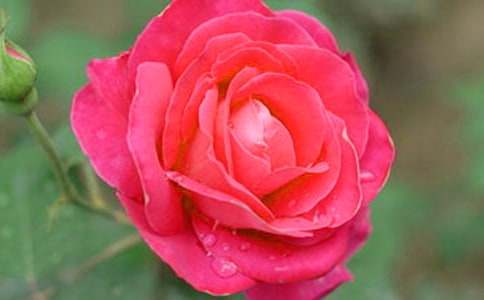 �P���¼����^����ӛ32ƪ