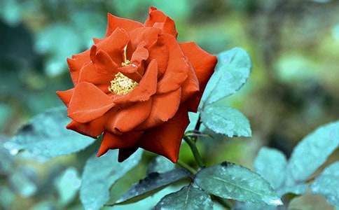 �¼����µ���������