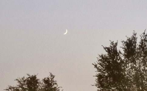 �����͵��������ԒС�W������